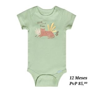 Body 12 Meses