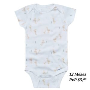 Body 12 Meses