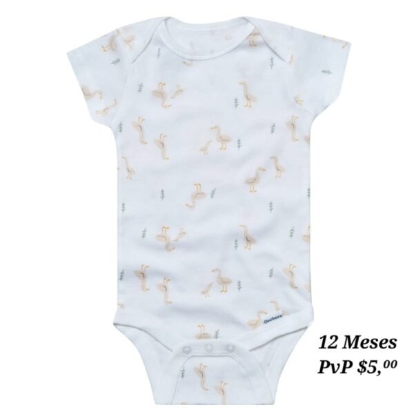 Body 12 Meses
