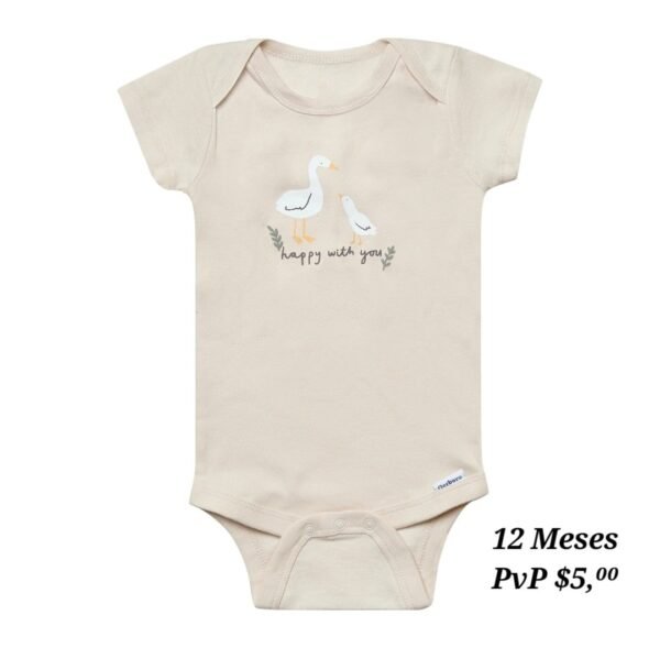 Body 12 Meses