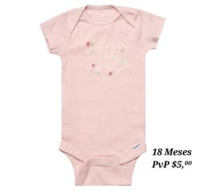 Body 18 Meses