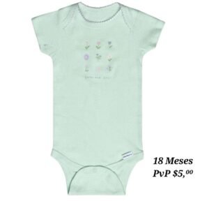 Body 18 Meses