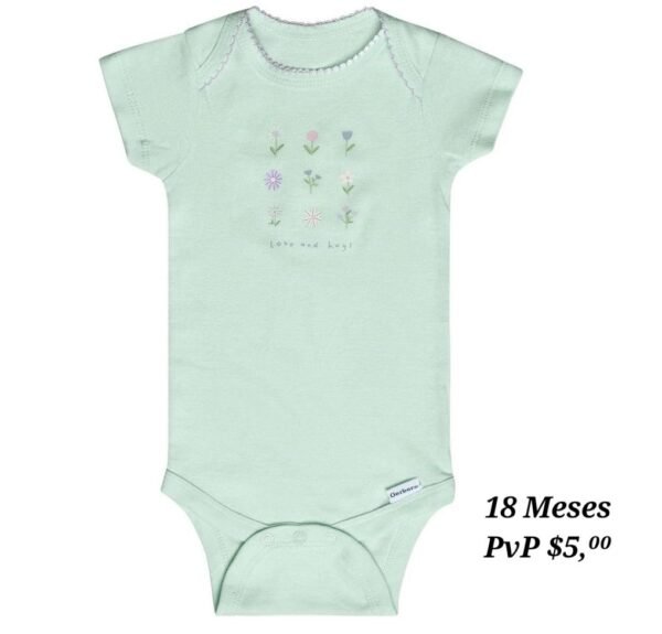 Body 18 Meses