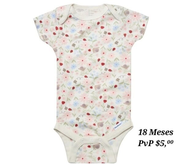 Body 18 Meses