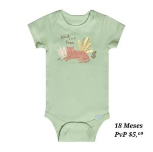 Body 18 Meses