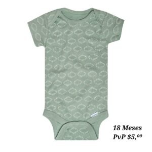 Body 18 Meses