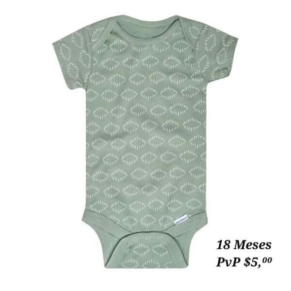 Body 18 Meses