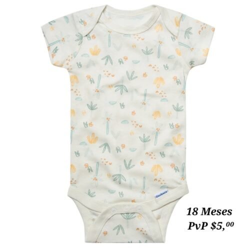 Body 18 Meses