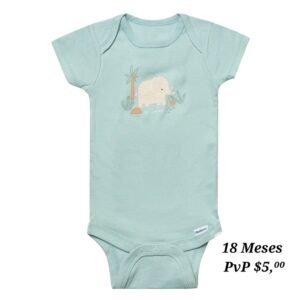 Body 18 Meses