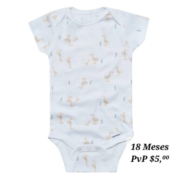 Copia de Body 18 Meses