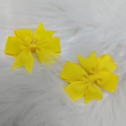 2025/08/JPEG_20250810_143114_6442283294527068258-scaled.jpg Lazos Amarillos