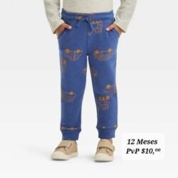 Calentador Térmico 12 Meses