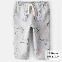 Calentador Térmico 12 Meses