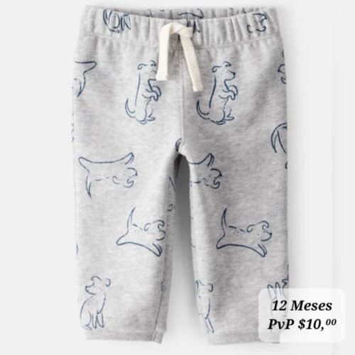 Calentador Térmico 12 Meses