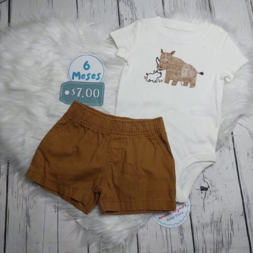 Conjunto 6 Meses