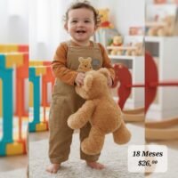 Conjunto 12 Meses