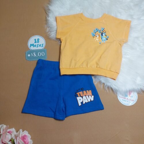 Conjunto Armado 18 Meses