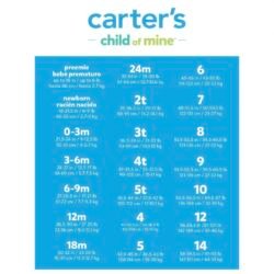 Set de Bodys 12 Meses